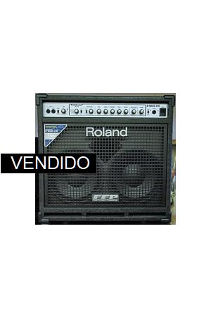 Roland D-BASS 210 Roland D-BASS 210